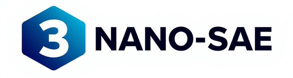3Nano-SAE